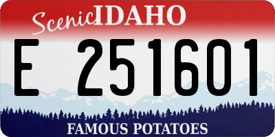 ID license plate E251601