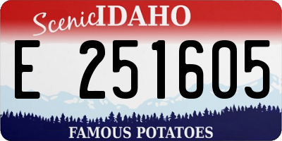 ID license plate E251605