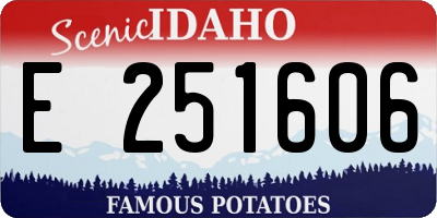 ID license plate E251606