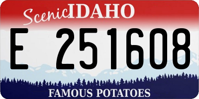 ID license plate E251608