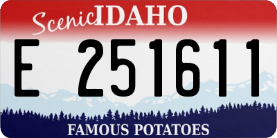ID license plate E251611