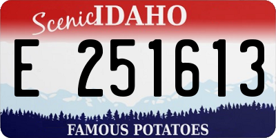 ID license plate E251613