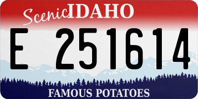 ID license plate E251614