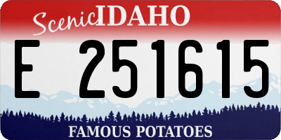 ID license plate E251615