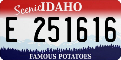 ID license plate E251616