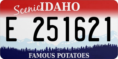 ID license plate E251621