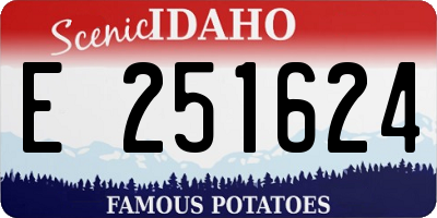 ID license plate E251624