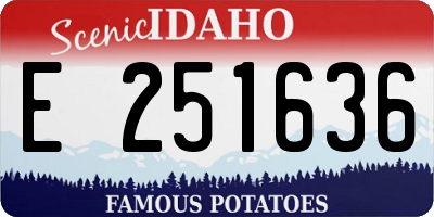 ID license plate E251636