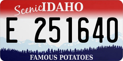 ID license plate E251640