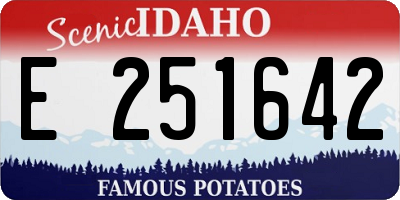 ID license plate E251642