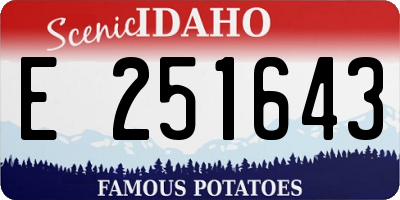 ID license plate E251643