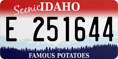 ID license plate E251644