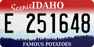 ID license plate E251648