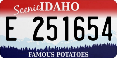 ID license plate E251654