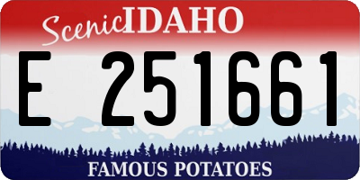 ID license plate E251661