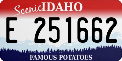 ID license plate E251662