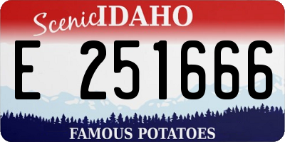 ID license plate E251666