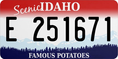 ID license plate E251671