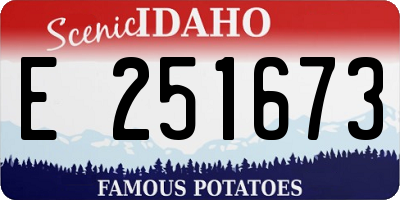 ID license plate E251673