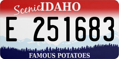 ID license plate E251683