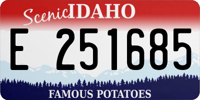 ID license plate E251685