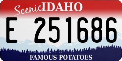 ID license plate E251686