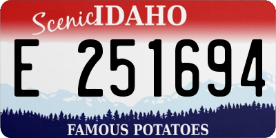 ID license plate E251694