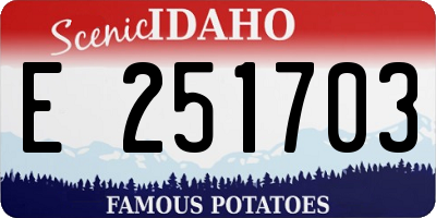 ID license plate E251703