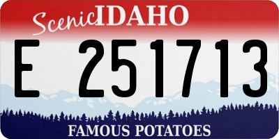 ID license plate E251713