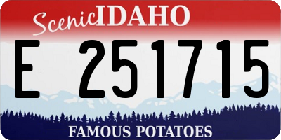 ID license plate E251715
