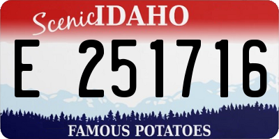 ID license plate E251716