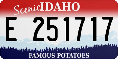 ID license plate E251717