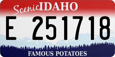 ID license plate E251718