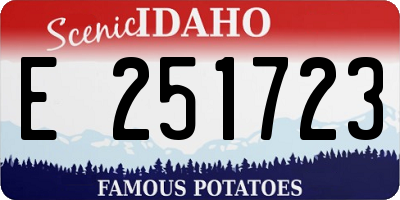 ID license plate E251723