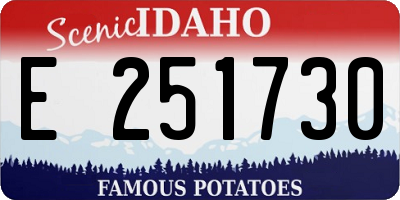 ID license plate E251730