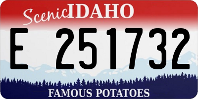 ID license plate E251732