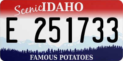 ID license plate E251733