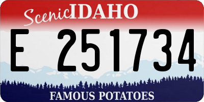 ID license plate E251734