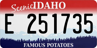 ID license plate E251735