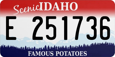 ID license plate E251736