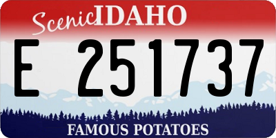 ID license plate E251737