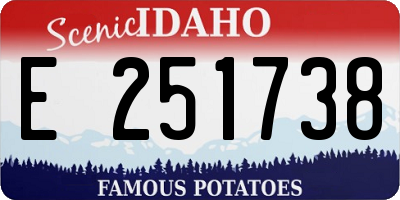 ID license plate E251738
