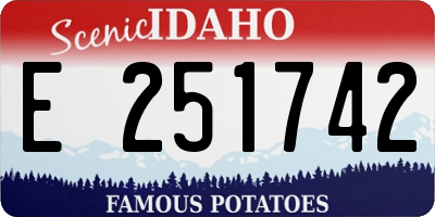 ID license plate E251742