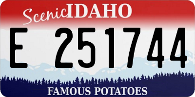 ID license plate E251744