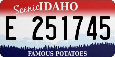 ID license plate E251745