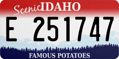 ID license plate E251747