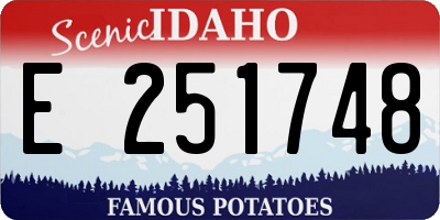 ID license plate E251748