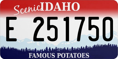 ID license plate E251750