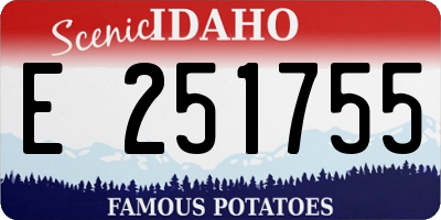 ID license plate E251755