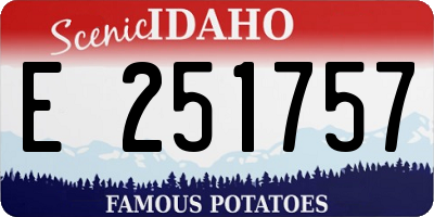 ID license plate E251757